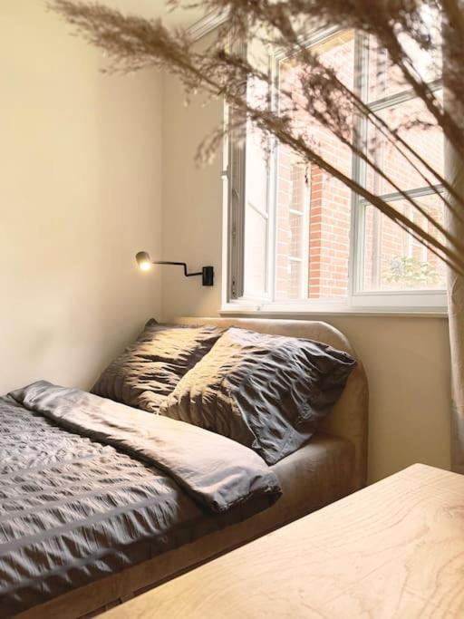 Natural Apartment In The City Center - Old Town Вроцлав Экстерьер фото